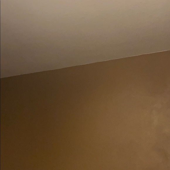 Meet your Posher, Mason - Picture 1 of 1